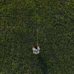 Hidden Gems - A person is standing in the middle of a field
