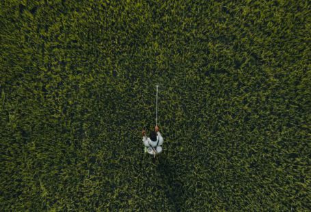 Hidden Gems - A person is standing in the middle of a field