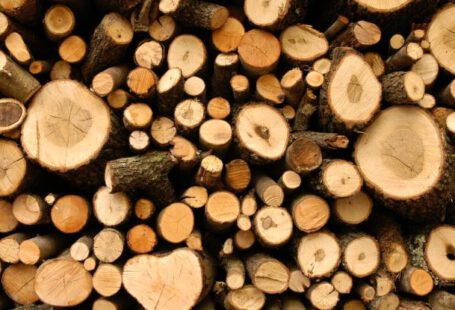 Resources - Firewood Lot