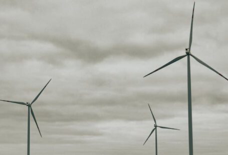 Eco-Lodges - Field full of wind turbines